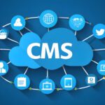CMS systems development